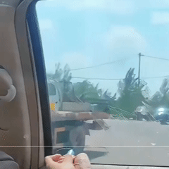 MiniMart™ – Martillo de Seguridad 2 en 1 para Coche “Rompe cristales y corta cinturones en segundos”
